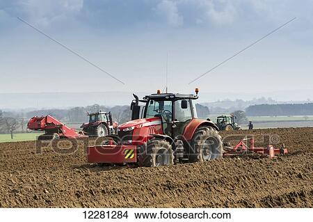 Picture - Making ridges for potato crop using a ridger pulled by a Massey Ferguson 7624; Yorkshire, England. Fotosearch