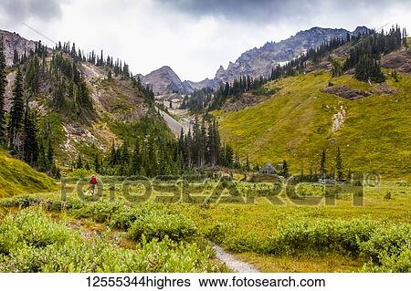 Stock Photograph - Man hiking in Royal Basin, Olympic Mountains, Olympic National Park; Washington, United States of America. Fotosearch