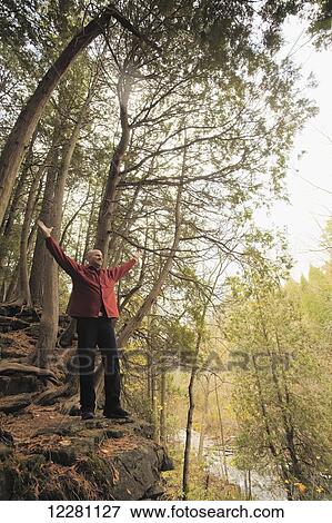 Stock Photo - Man standing at edge of forest with arms raised; Milton, Ontario, Canada. Fotosearch