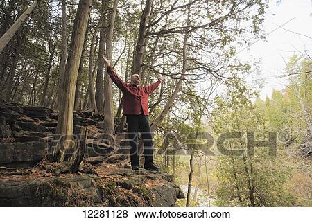 Stock Photo - Man standing at edge of forest with arms raised; Milton, Ontario, Canada. Fotosearch