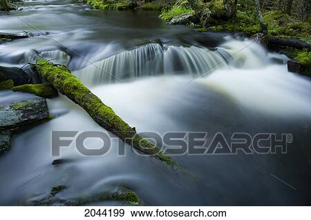 Mossy Log And Small Waterfall, Liscomb Game Sanctuary, Liscomb, Nova Scotia View Large Photo Image Stock Photo - Mossy Log And Small Waterfall, Liscomb Game Sanctuary, Liscomb, Nova Scotia. Fotosearch