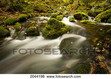 Mossy Rocks Along Lavis Brook In The Fall Near Portree, Cape Breton, Nova Scotia View Large Photo Image Stock Photo - Mossy Rocks Along Lavis Brook In The Fall Near Portree, Cape Breton, Nova Scotia. Fotosearch