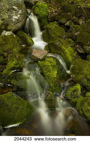 Stock Image - Mossy Rocks And Small Cascade Along Macphersons Brook, Cape Breton, Nova Scotia. Fotosearch