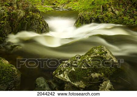 Stock Image - Mossy Rocks And Waterfall In Macphersons Brook, Cape Breton, Nova Scotia. Fotosearch