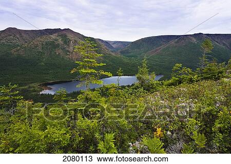 Mount Albert From Mount Olivine In Gaspesie National Park; Quebec, Canada View Large Photo Image Stock Image - Mount Albert From Mount Olivine In Gaspesie National Park; Quebec, Canada. Fotosearch