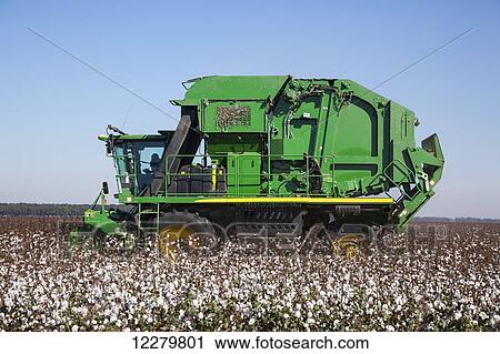 Onboard module building cotton picker; England, Arkansas, United States of America View Large Photo Image Stock Image - Onboard module building cotton picker; England, Arkansas, United States of America. Fotosearch