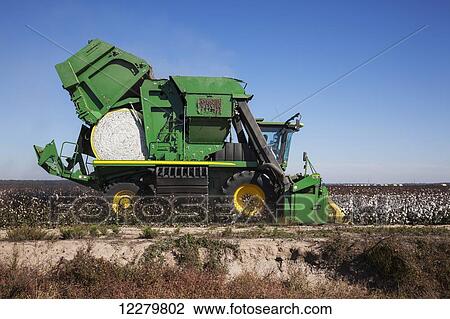 Onboard module building cotton picker; England, Arkansas, United States of America View Large Photo Image Stock Image - Onboard module building cotton picker; England, Arkansas, United States of America. Fotosearch