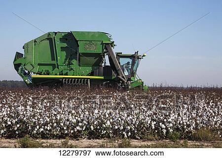 Stock Photo - Onboard module building cotton picker; England, Arkansas, United States of America. Fotosearch