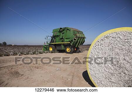 Onboard module building cotton picker; England, Arkansas, United States of America View Large Photo Image Stock Photograph - Onboard module building cotton picker; England, Arkansas, United States of America. Fotosearch