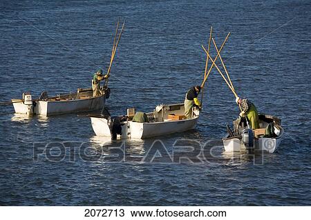 Oyster Harvesters, Foxley Bay, Prince Edward Island View Large Photo Image Stock Image - Oyster Harvesters, Foxley Bay, Prince Edward Island. Fotosearch