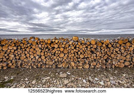 Stock Photograph - Piled fire logs, near St Anthony; Newfoundland and Labrador, Canada. Fotosearch