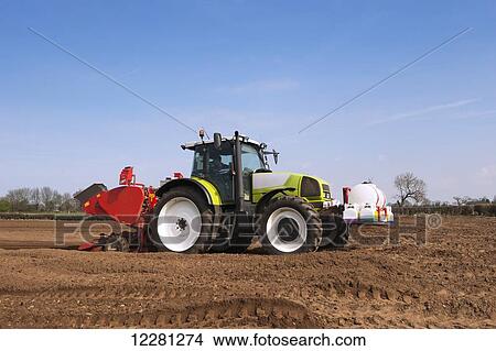 Picture - Planting seed potato in freshly prepared seed bed using a Grimme seed drill pulled by a Claas ARES 816RZ tractor; Yorkshire, England. Fotosearch