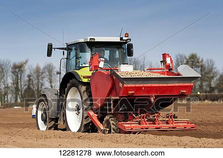Stock Photo - Planting seed potato in freshly prepared seed bed using a Grimme seed drill pulled by a Claas ARES 816RZ tractor; Yorkshire, England. Fotosearch