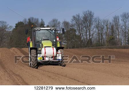 Planting seed potato in freshly prepared seed bed using a Grimme seed drill pulled by a Claas ARES 816RZ tractor; Yorkshire, England View Large Photo Image Stock Photo - Planting seed potato in freshly prepared seed bed using a Grimme seed drill pulled by a Claas ARES 816RZ tractor; Yorkshire, England. Fotosearch