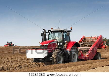 Preparing potato seed bed, using Grimme stone removing machine pulled by a Massey Ferguson 7620; Yorkshire, England View Large Photo Image Stock Image - Preparing potato seed bed, using Grimme stone removing machine pulled by a Massey Ferguson 7620; Yorkshire, England. Fotosearch