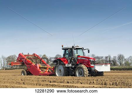 Preparing potato seed bed, using Grimme stone removing machine pulled by a Massey Ferguson 7620; Yorkshire, England View Large Photo Image Stock Image - Preparing potato seed bed, using Grimme stone removing machine pulled by a Massey Ferguson 7620; Yorkshire, England. Fotosearch