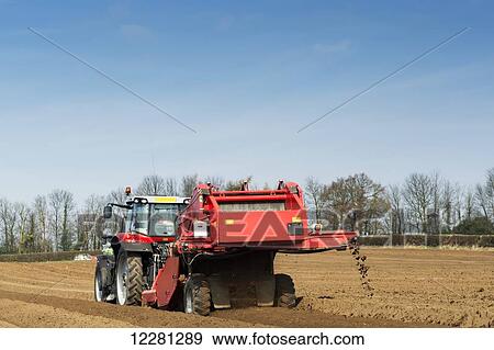 Preparing potato seed bed, using Grimme stone removing machine pulled by a Massey Ferguson 7620; Yorkshire, England View Large Photo Image Stock Photo - Preparing potato seed bed, using Grimme stone removing machine pulled by a Massey Ferguson 7620; Yorkshire, England. Fotosearch