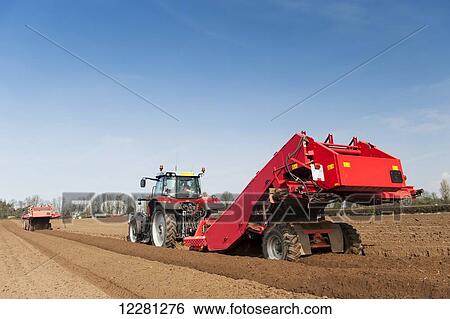 Preparing potato seed bed, using Grimme stone removing machine pulled by a Massey Ferguson 7620; Yorkshire, England View Large Photo Image Stock Photograph - Preparing potato seed bed, using Grimme stone removing machine pulled by a Massey Ferguson 7620; Yorkshire, England. Fotosearch