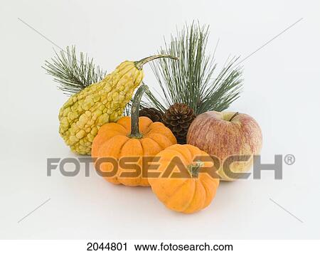 Pumpkin Apple And Squash On White Background View Large Photo Image Stock Image - Pumpkin Apple And Squash On White Background. Fotosearch