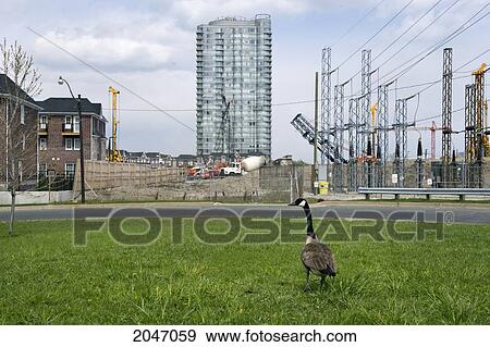 Queensway At Kingsway, Toronto, Ontario View Large Photo Image Stock Photo - Queensway At Kingsway, Toronto, Ontario. Fotosearch