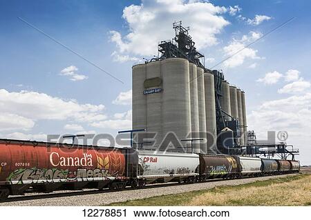 Railway grain cars in front of large concrete grain elevator with blue sky and clouds; Alberta, Canada View Large Photo Image Stock Image - Railway grain cars in front of large concrete grain elevator with blue sky and clouds; Alberta, Canada. Fotosearch