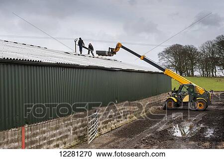 Roofers on a farm building using a JCB load-all to lift roofing sheets; Cumbria, England View Large Photo Image Stock Image - Roofers on a farm building using a JCB load-all to lift roofing sheets; Cumbria, England. Fotosearch