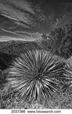 Scene Form A Mountain Top, Unnamed Peak In California. View Large Photo Image Stock Photograph - Scene Form A Mountain Top, Unnamed Peak In California.. Fotosearch
