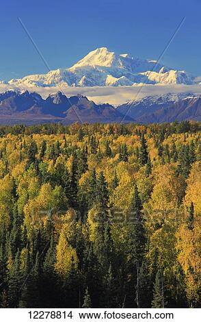 Picture - Scenic autumn view of the southside of Mt. McKinley from a roadside overlook near Talkeetna, Southcentral Alaska. Fotosearch