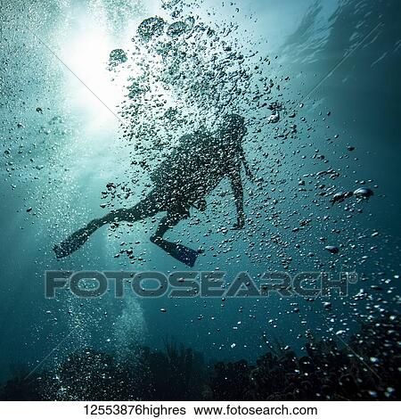 Scuba diver obscured by bubbles underwater at the dive site Blue Channel, Roatan Marine Park; Bay Islands Department, Honduras View Large Photo Image Stock Photograph - Scuba diver obscured by bubbles underwater at the dive site Blue Channel, Roatan Marine Park; Bay Islands Department, Honduras. Fotosearch