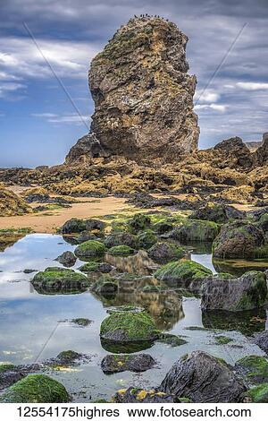 Stock Photograph - Sea Stack with rocks in tide pools at Marsden Bay off the North East coast of England; South Shields, Tyne and Wear, England. Fotosearch