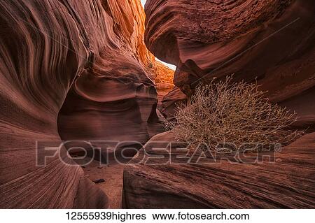 Slot Canyon known as Rattlesnake Canyon; Page, Arizona, United States of America View Large Photo Image Stock Photograph - Slot Canyon known as Rattlesnake Canyon; Page, Arizona, United States of America. Fotosearch