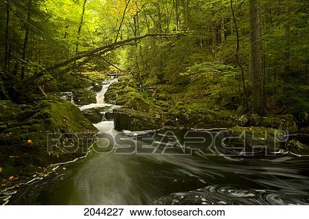 Stock Photo - Small Waterfalls And Pool Which Empties Into West Branch Of The St. Mary's River, St. Mary's, Nova Scotia. Fotosearch