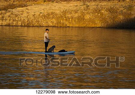 Stock Photo - Stand up paddle boarding on tranquil Lake Pleasant; Arizona, United States of America. Fotosearch
