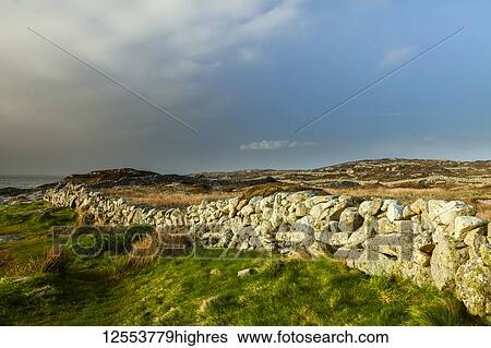 Stock Photograph - Stone wall in a grass field along the coast of Ireland; Ireland. Fotosearch