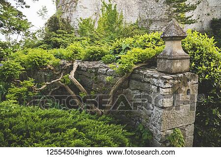 Stone walls and garden of Duino Castle; Italy View Large Photo Image Stock Photograph - Stone walls and garden of Duino Castle; Italy. Fotosearch