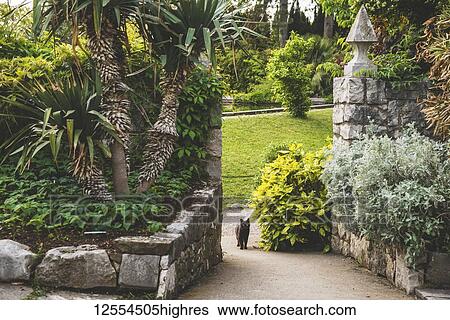 Stock Photograph - Stone walls and garden of Duino Castle with a cat on the walkway; Italy. Fotosearch