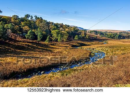 Stock Photograph - Stream flowing through an autumn coloured landscape; Ireland. Fotosearch