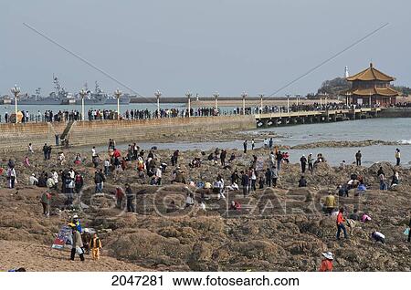 Sunday Afternoon At Zhanqiao Pier, Qingdao Bay On The Yellow Sea, Qingdao, Shandong Province, China View Large Photo Image Stock Image - Sunday Afternoon At Zhanqiao Pier, Qingdao Bay On The Yellow Sea, Qingdao, Shandong Province, China. Fotosearch