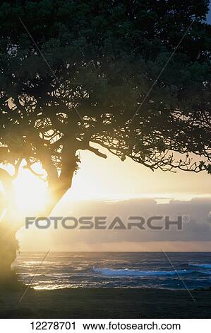 Stock Image - Sunrise seen from Lydgate Beach Park; Lydgate, Kauai, Hawaii, United States of America. Fotosearch