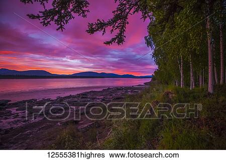 Sunset/sunrise in early June on the Yukon River in summer; Alaska, United States of America View Large Photo Image Stock Photograph - Sunset/sunrise in early June on the Yukon River in summer; Alaska, United States of America. Fotosearch