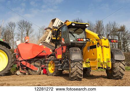 Tipping box of seed potato into a Grimme seed drill using a JCB load-all; Yorkshire, England View Large Photo Image Stock Image - Tipping box of seed potato into a Grimme seed drill using a JCB load-all; Yorkshire, England. Fotosearch