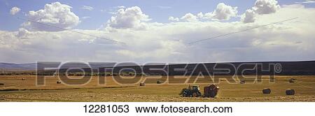 Tractor and baler making round hay bales in a field near Meeker, Colorado in late summer, mountains and partly cloudy skies in the background; Colorado, United States of America View Large Photo Image Stock Image - Tractor and baler making round hay bales in a field near Meeker, Colorado in late summer, mountains and partly cloudy skies in the background; Colorado, United States of America. Fotosearch