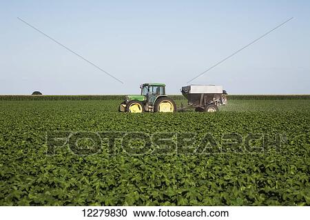 Stock Image - Tractor-pulled bulk fertilizer application broadcasting urea fertilizer (source of nitrogen) on no till cotton in peak of fruit setting stage; England, Arkansas, United States of America. Fotosearch
