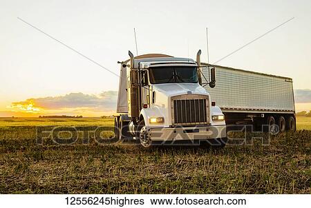 Transport truck in a canola field at sunset during harvest; Legal, Alberta, Canada View Large Photo Image Stock Photograph - Transport truck in a canola field at sunset during harvest; Legal, Alberta, Canada. Fotosearch