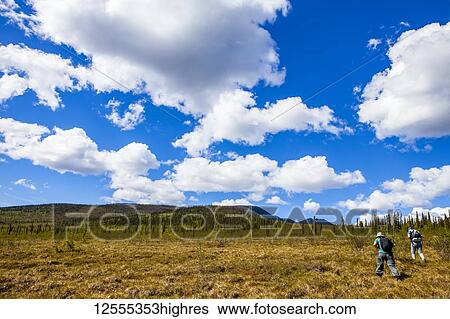 Stock Photograph - Two women hiking in the YukonCharley Rivers National Preserve on tundra in summertime towards the B-22 downed plane; Alaska, United States of America. Fotosearch