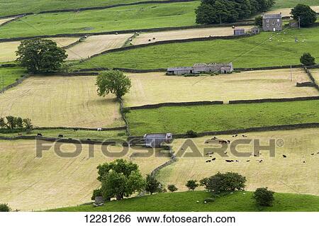 Stock Photograph - Upland meadows cleared of grass crop in early summer, near Reeth; Swaledale, Yorkshire, England. Fotosearch