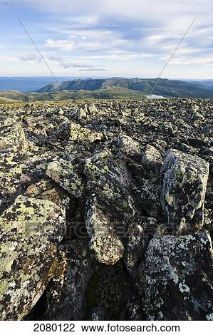 Stock Image - View From The Top Of Mont Jacques-Cartier, Gaspesie National Park; Quebec, Canada. Fotosearch