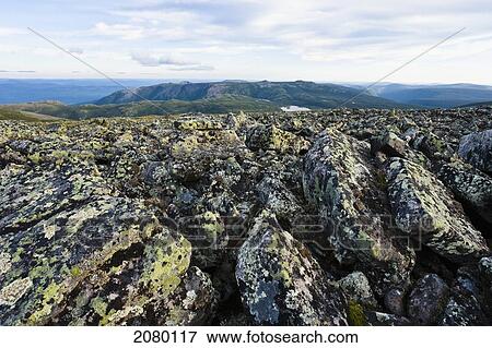 Stock Photo - View From The Top Of Mont Jacques-Cartier, Gaspesie National Park; Quebec, Canada. Fotosearch