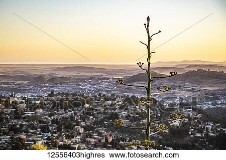 Stock Photograph - View of Gondar; Gondar, Amhara Region, Ethiopia. Fotosearch