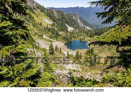 View of Round Lake, High Divide Trail, Seven Lakes Basin, Olympic Mountains, Olympic National Park, Washington in summer; Washington, United States of America View Large Photo Image Stock Photograph - View of Round Lake, High Divide Trail, Seven Lakes Basin, Olympic Mountains, Olympic National Park, Washington in summer; Washington, United States of America. Fotosearch